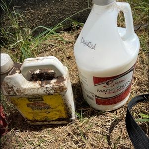 Show sheen bannix and vetrycin